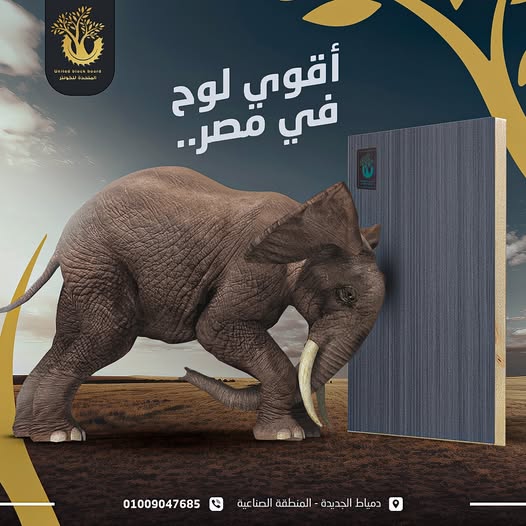 486673050_1063930645752141_7542288185401381144_n